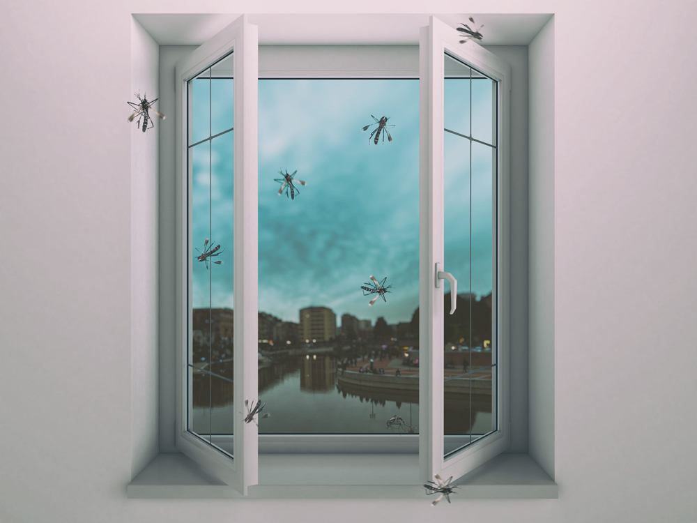 How to keep mosquitoes out of your gutter in singapore